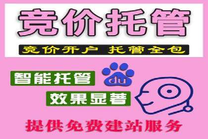 百度推广在电商行业的应用及效果